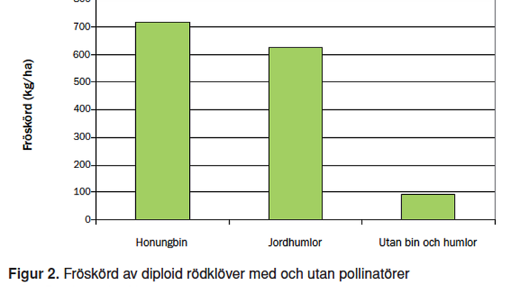 Skördeökning med och utan pollinatörer
