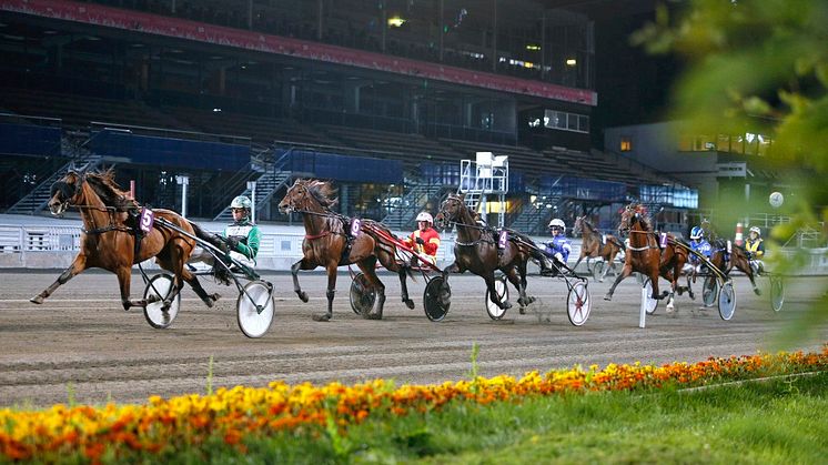 Solvalla, foto: Maria Holmén, ATG