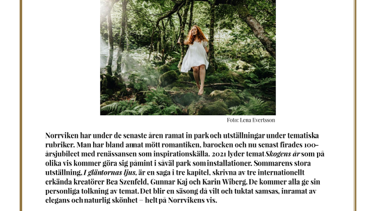 Skogen år 2021 – med naturlig elegans på Norrvikens vis