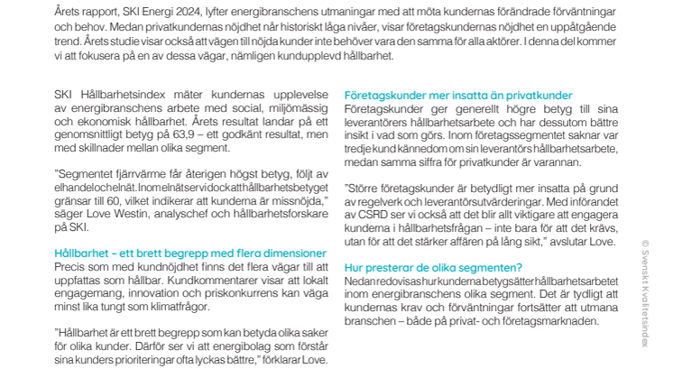 SKI Hållbarhetsindex Energi 2024.pdf