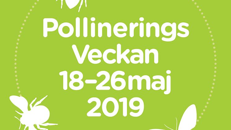 ​Pollineringsveckan visar vad vi kan göra för att gynna insekterna