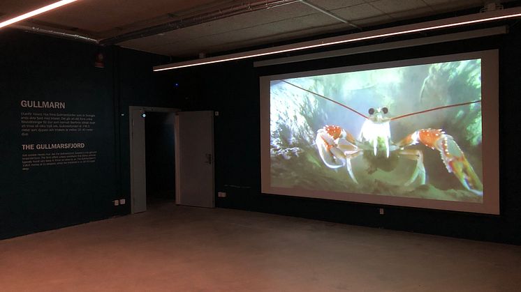 Gullmarssalen på Havets Hus