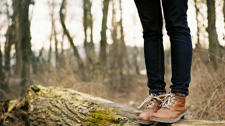 Ny studie: naturintresset har ökat under pandemin