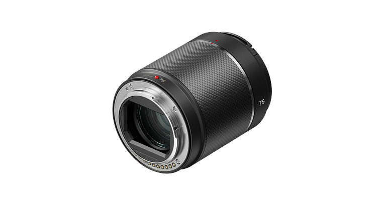 DJI DL 75_white_back_right 45.png