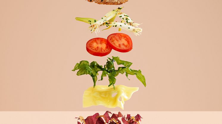 Algfralla - Carl Kleiner