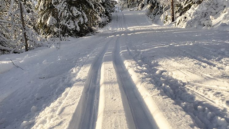 SM i Skidorientering i Vemdalen 