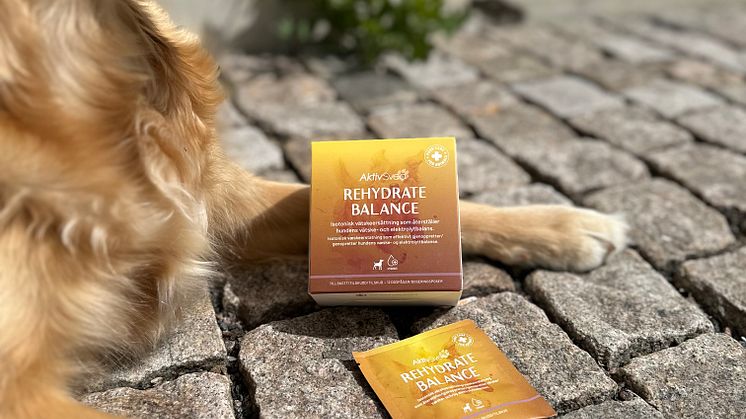 AktivSvea Rehydrate Balance