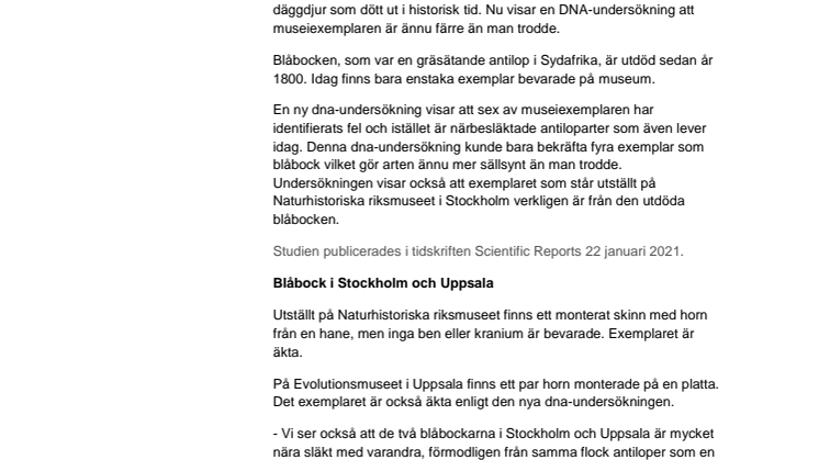 DNA avslöjade falska blåbockar men Naturhistoriska riksmuseets är äkta