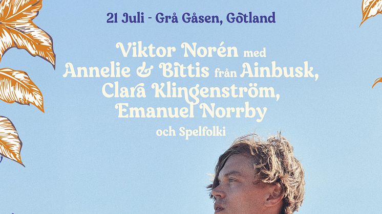 Gotland_Visby-ViktorNoren.jpg