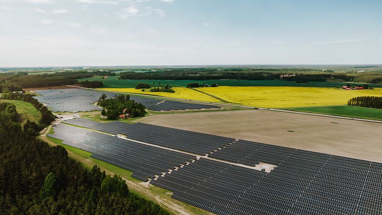 Sveriges största solpark invigd - ska driva Gröna Lund, Kolmården och Skara Sommarland