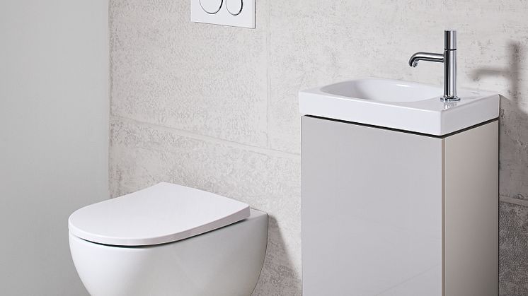 Acanto-pesuallas ja wc