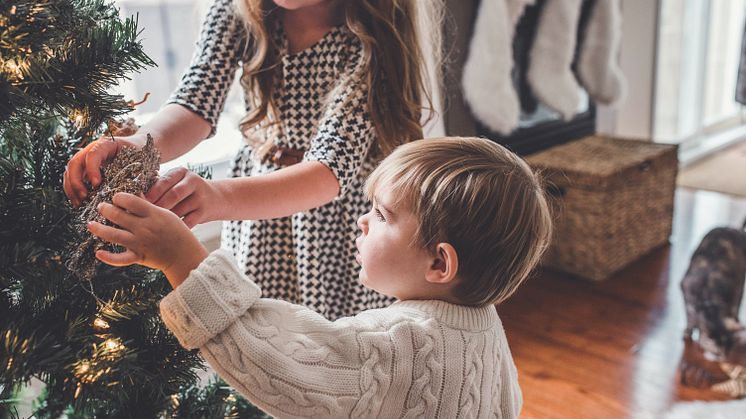 paige-cody-bdse1gz3EPg-unsplash