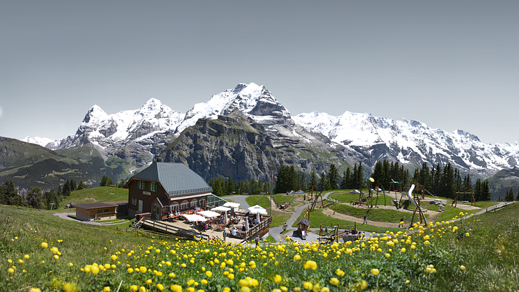 Allmendhubel Mürren