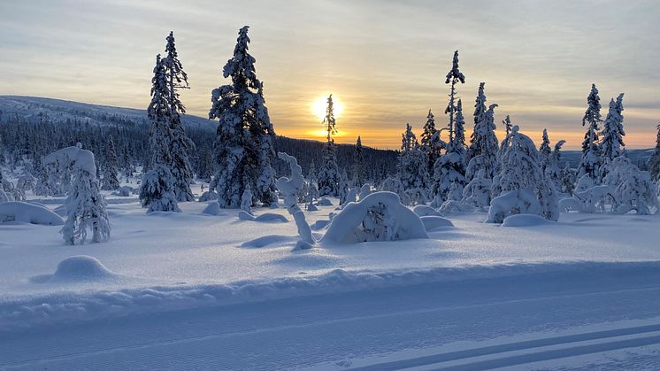 Björnrike XC