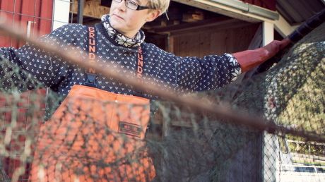 Tre miljoner till sälar och fiske