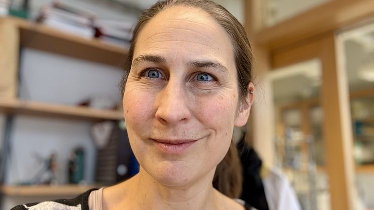 Ingrid Wernstedts Asterholms forskning har uppmärksammats i olika högrankade tidskrifter 