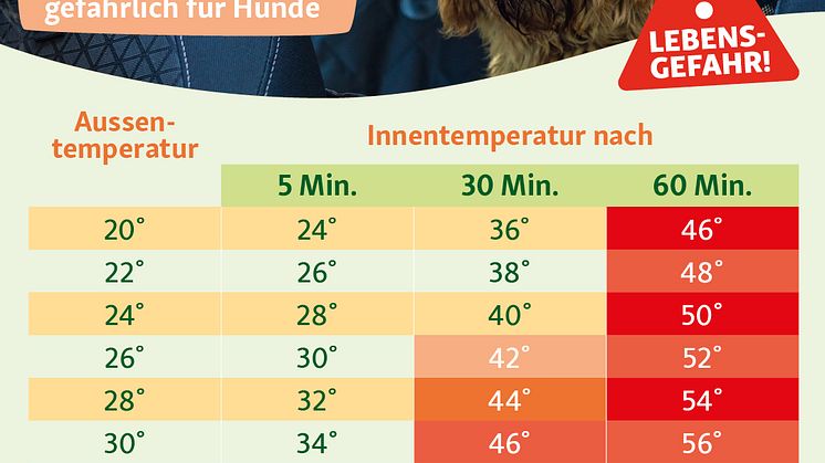 Infografik_Hitzefalle_Auto
