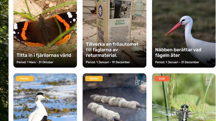 Naturuppdrag på naturuppdraget.se.jpg