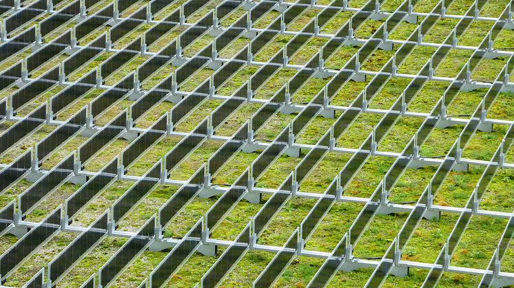 Norwegisches Startup Over Easy Solar bringt vertikale beidseitige Solarmodule auf den deutschen Markt