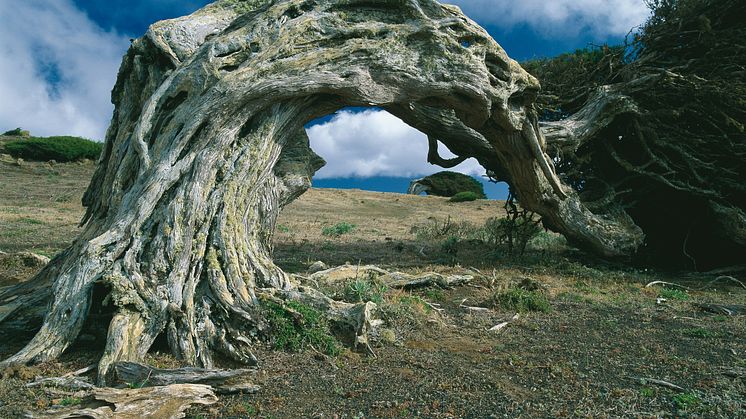 EL-HIERRO-SABINAR-HR