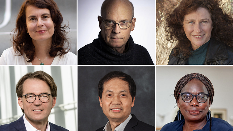 Hedersdoktorer vid Stockholms universitet 2024: Katja Franko, Magnus Florin, Camille Parmesan, Matthias Tschöp, Zhaojun Bai, Phoebe Okowa. (Fotografer, se längst ner i pressmeddelandet.)