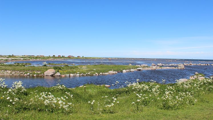 Om 100 år kan 3000 öar ha försvunnit i Stockholms skärgård