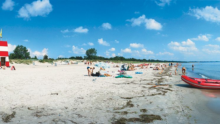 10 gute Nachrichten von Scandlines zur ITB