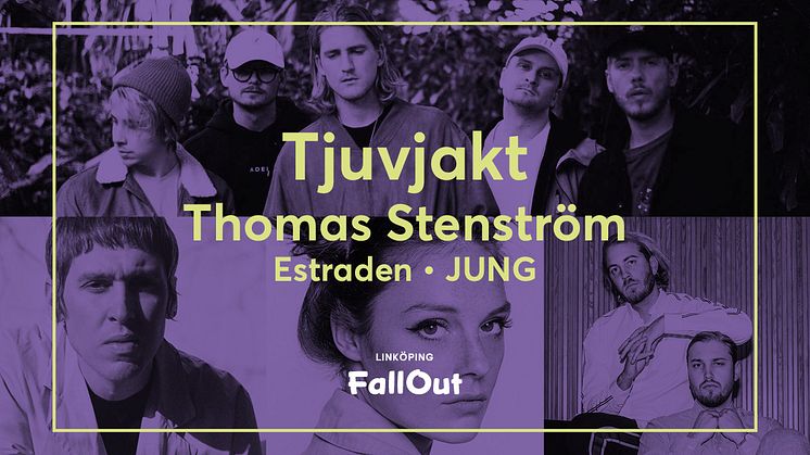 Tjuvjakt till Linköping FallOut