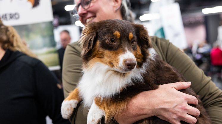 MyDOG 2024 bjöd in till hundens fantastiska värld