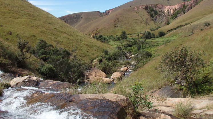 Grässavannbäck på Madagaskar Foto Tolotra Ranarilalatiana