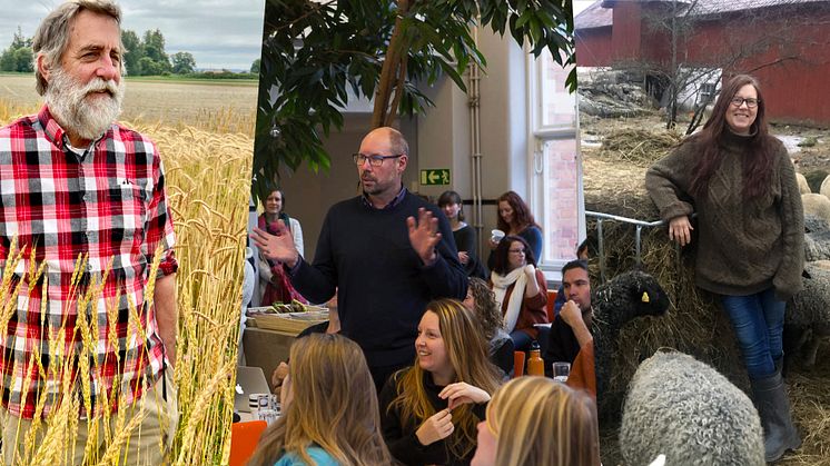 Här är årets finalister för Utstickarpriset