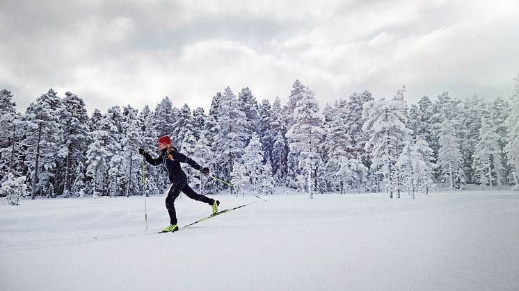 AW 14 cross-country