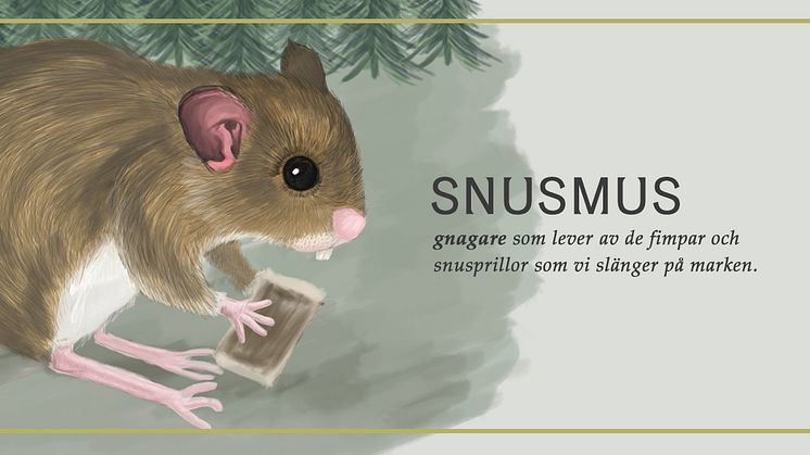 Snusmusen