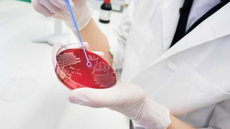Resistens mot antibiotika är ett växande problem. Foto: Thor Balkhed/LiU