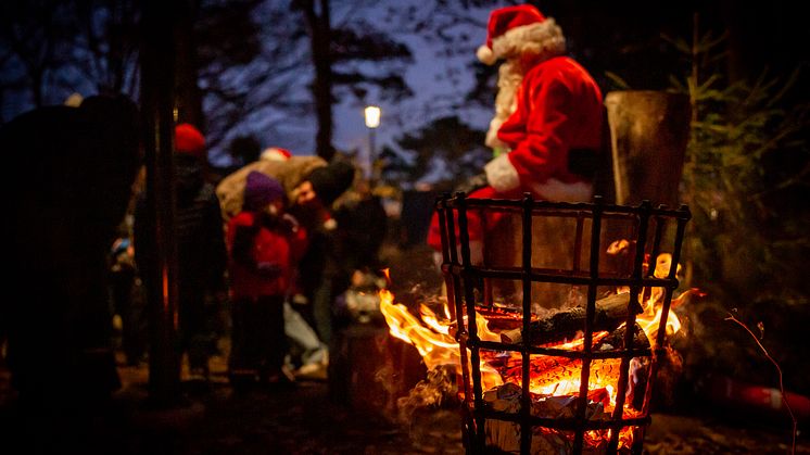 Halland jul-vallarna-22_falkenberg_fotoCarolineAndersson-233