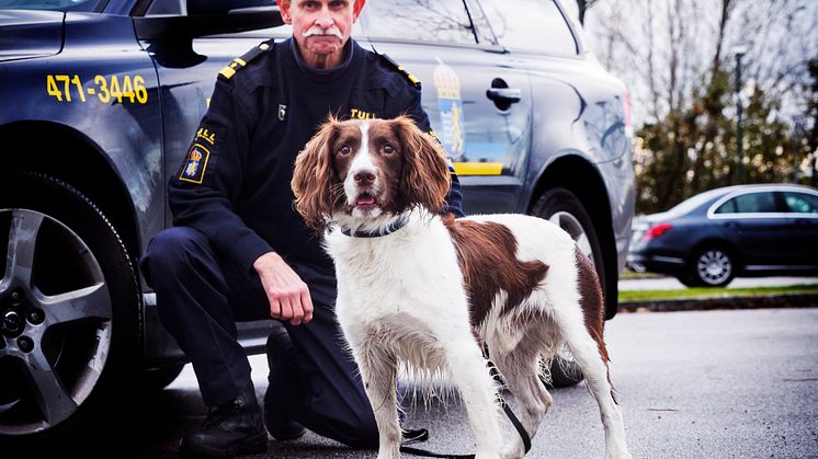 Årets narkotikasökhund 2016