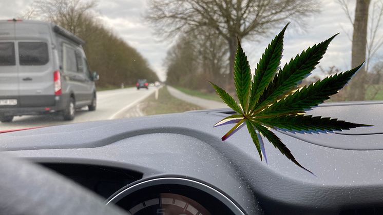 „Vermittlungsausschuss für Änderungen bei Cannabisgesetz nutzen“
