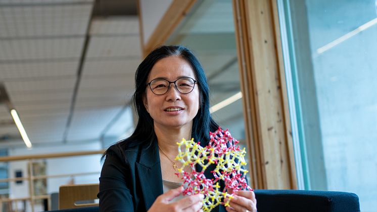 Xiaodong Zou. Foto: Linus Hovmöller Zou