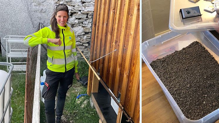 Jenna Senecal VD på Sanitation360 och forskare vid SLU är årets Avlopp & Kretsloppspristagare. T.h. Urinpellets, produkten som framställs från källsorterad urin och används för gödsling.