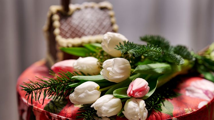 Här får du massor av tips på hur du skapar skön julstämning med hjälp av svenskodlade hyacinter och tulpaner. 