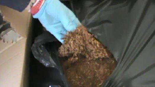 Tobacco found within boxes