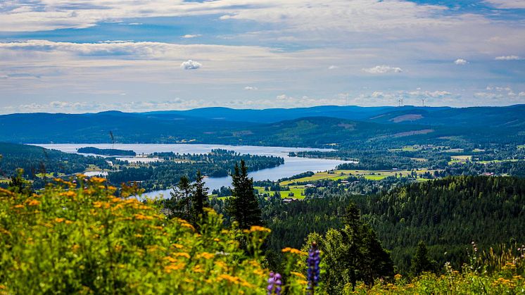 Utsikt från Järvsö över älvens ljusnandalen.jpeg