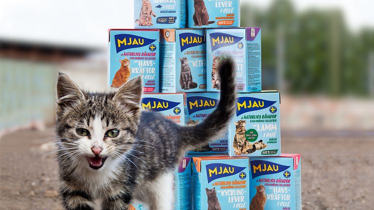 Kattmatstillverkaren Mjau lanserar gåvoshop för utsatta katter
