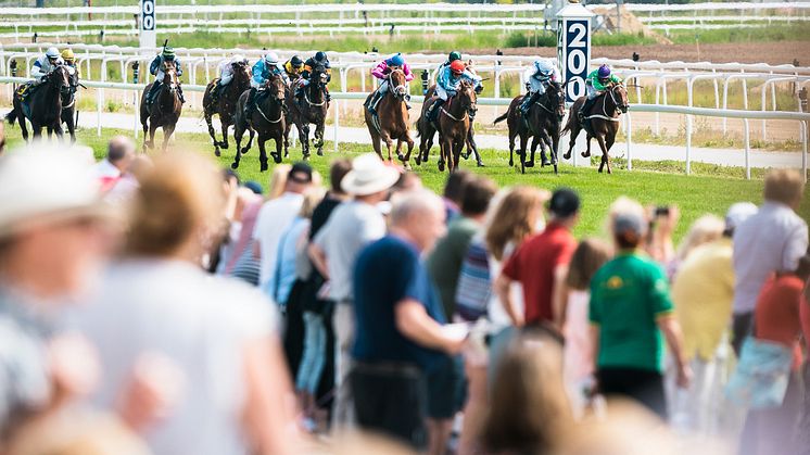 Häftigaste festen och bästa sporten – missa inte de unika Galoppdagarna