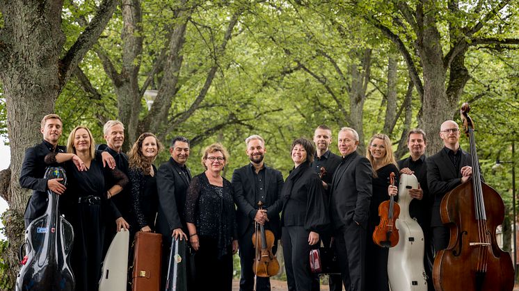 Musica Vitae