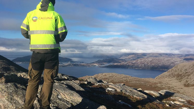 Calluna vill som ny medlem i Svensk Vindenergi fortsätta att bidra till att biologisk mångfald främjas i svenska vindkraftsprojekt. ﻿Foto: Jonas Mattsson. 