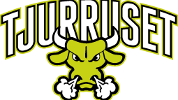 Tjurruset