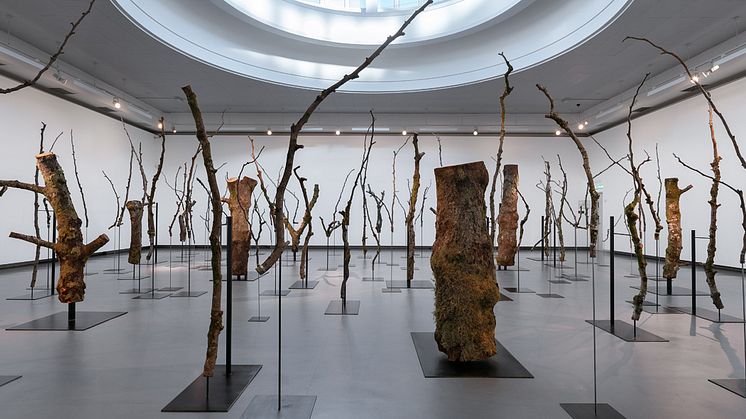 I Tårnsalen i KODE 4: Henrik Håkansson. One Hundred and One Pieces of a Tree (Norwegian Wood)