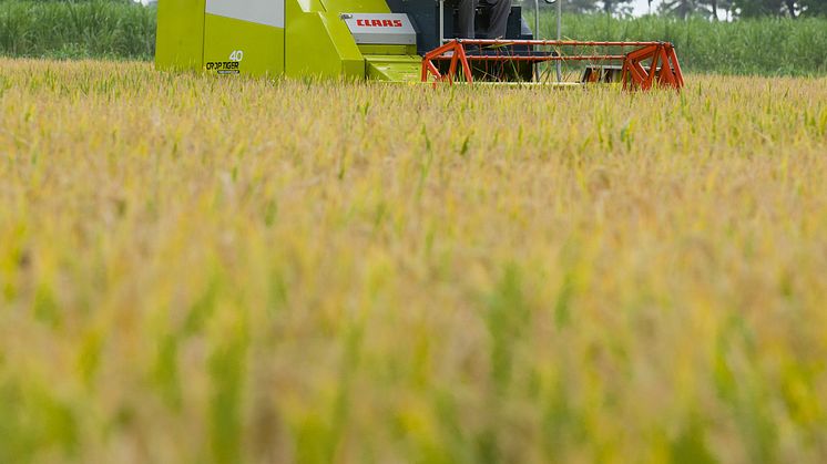 Danish Agro Machinery introducer indisk CLAAS CROP TIGER på det danske marked