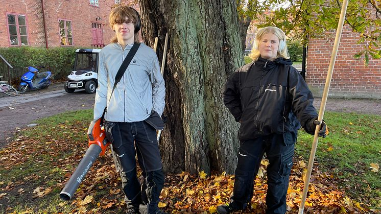 Knut Alstam och Thea Novak höstlovsjobbar hor Familjebostäder i Kungsladugård